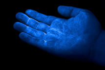 Cuddle-bug Blue UV Hand