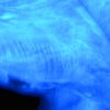 Blue UV GERM Lotion close up on hands