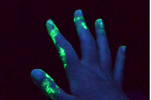 glow green glow 3 600x397